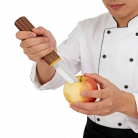 Couteau à fruits à double tranchant en acier inoxydable avec manche en PP, fourchette et couteau de cuisine, composants en métal et en bois
