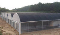 Serre Agricole à Structure Métallique pour Horticulture, Serre Tropicale, Prix