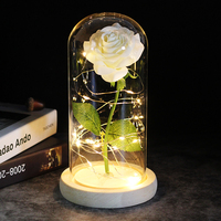 Produits de dropshipping : Cadeau Saint-Valentin 2026 – Rose éternelle lumineuse à LED, décoration florale, agent de dropshipping