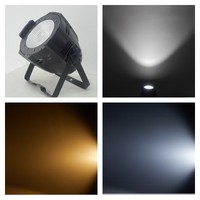 Dmx 100W COB CW/WW 2 IN 1 Led Par Surface Light DMX Led COB Par Light