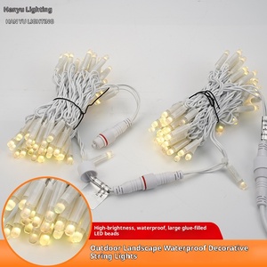 Thương Mại Nước Ngoài Cross-Biên Giới 110V IP67 Không Thấm Nước <span class=keywords><strong>LED</strong></span> Giáng Sinh Trang Trí Ánh Sáng Chuỗi 10M 100 Đèn Cho Phòng/Sân Ngoài Trời - Product Image 2