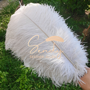 Plumes d'autruche multicolores bon marché sélectionnées de 50-55 cm pour les mariages, les fêtes, les événements, les centres de table, les costumes de <span class=keywords><strong>carnaval</strong></span>, les décorations - Product Image 2