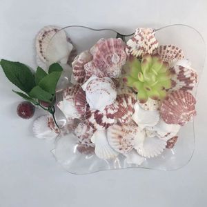 Hot bán đầy màu sắc nghêu sò điệp thực trang trí biển vỏ - Product Image 6