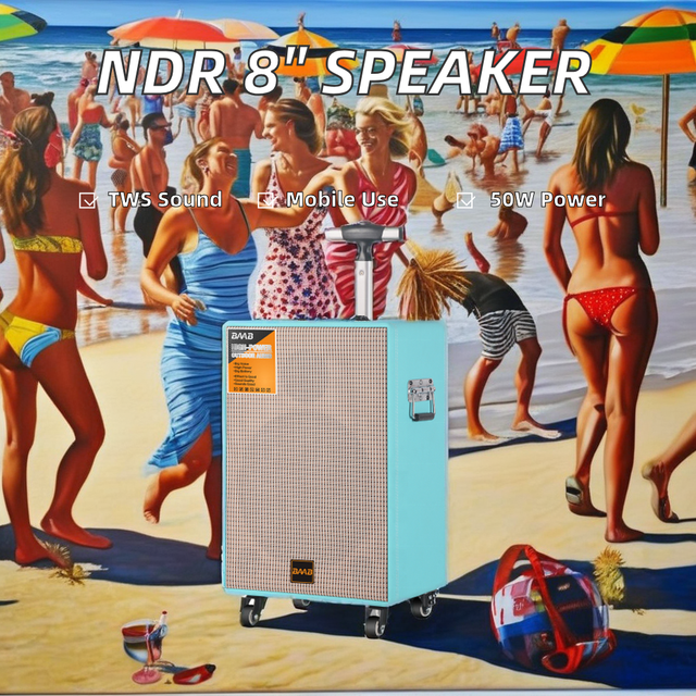 2024 Newest NDR 8 Inch Wireless Audio Echo Active PA System Speaker Trolley Amplified Wood Speaker USB/TF Card Home Theatre