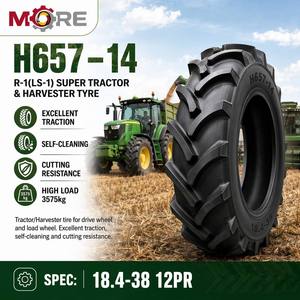 Pneumatico 18.4-38 41mm a Battistrada Profondo R-1(LS-1) <span class=keywords><strong>per</strong></span> Trattori Agricoli e Mietitrebbie <span class=keywords><strong>per</strong></span> Operazioni sul Campo - Product Image 1