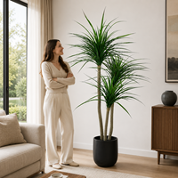 Arbre artificiel Dracaena 1,8 m en PE, plante artificielle Dragon à triple tronc, pot noir, réglable, résistant aux UV, écologique, pour intérieur
