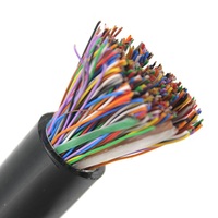 Cable de teléfono de comunicaciones vertical de categoría 3 10 pares 50 pares 300 pares 500 pares 24AWG Cable de teléfono exterior