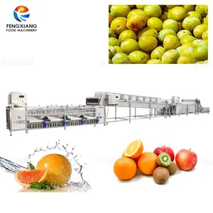 Línea de producción Industrial para batata/naranja/manzana/frutas, lavado, secado, máquina de procesamiento