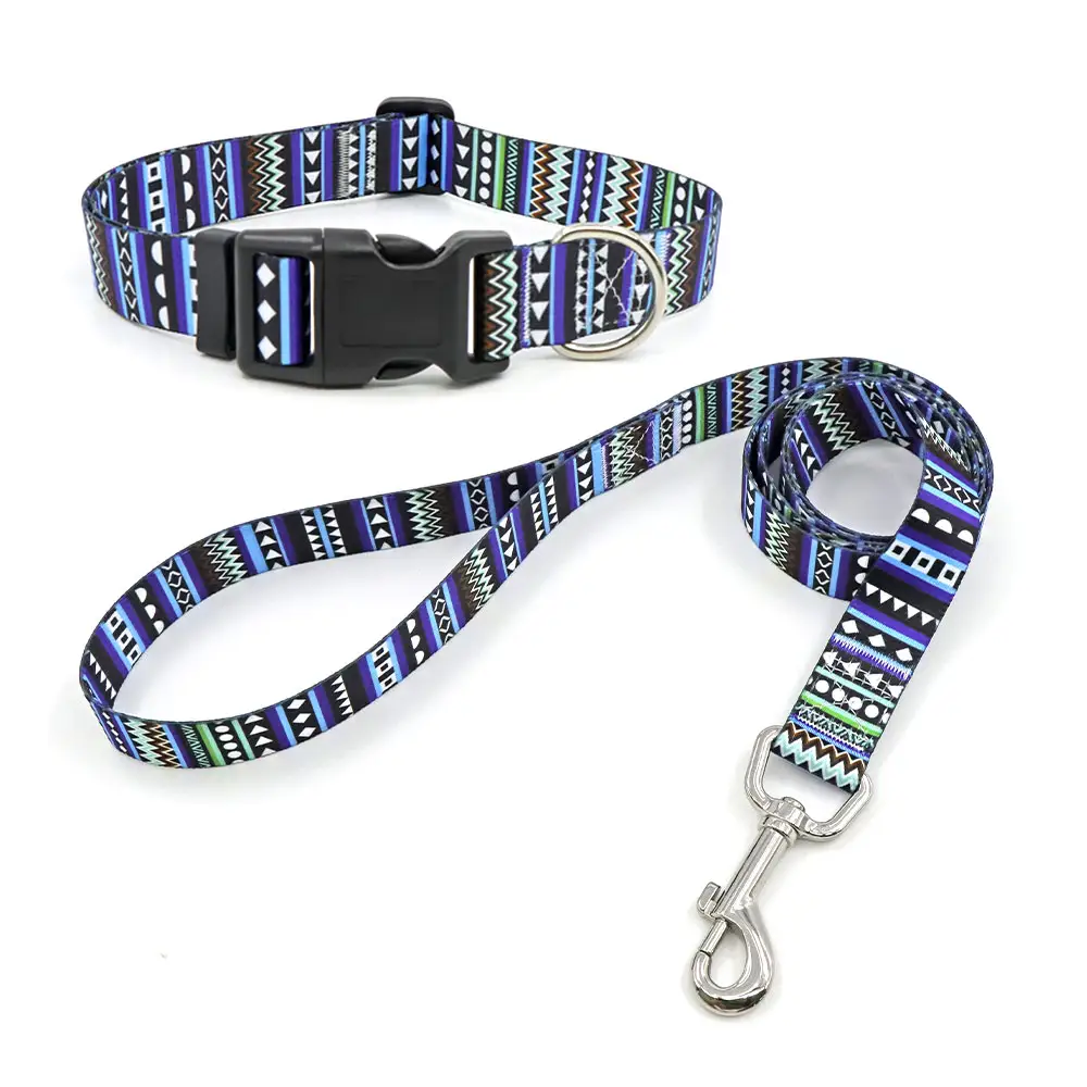 Ready To Ship Wholesale Pet Leashes Collars High Quality Personalized Design Adjustable Dog 2 In 1 Collar And Leash Set