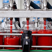 Automatische geconcentreerde jamproductielijn, complete verwerkingsapparatuur, mixer, fruitvergruizer, pulp-concentrator, aseptisch