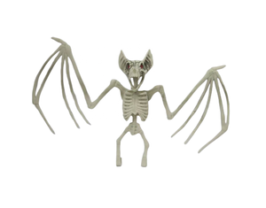 Manufacturers Wholesale High Quality Popular <b>Plastic</b> Birds Toys <b>Animal</b> Skeleton Model <b>Plastic</b> Halloween Crafts - Product Image 5