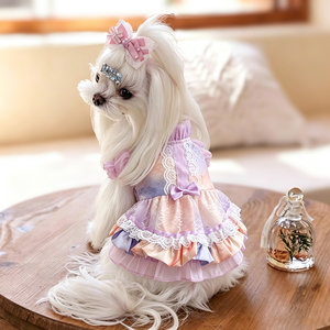 Vêtements d'hiver pour chiens, nouveau style, robe de princesse pour petits chiens et combinaison pour Bichon Frise, vente en gros disponible - Product Image 2