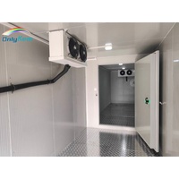 Contenedor Refrigerado de 20 Pies y 40HQ, Almacenamiento en Frío, Cuarto Frío Móvil con Energía Solar, Cuarto Frío para Almacenamiento de Flores