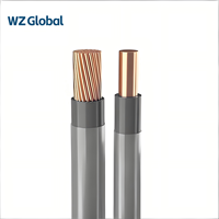 Cable Eléctrico THHN THWN-2 para Construcción, 600V, Conductor de Cobre Trenzado, Revestimiento de PVC y Nailon, 90C, para Ubicaciones Secas, Precio de Fábrica