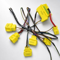 Faisceau de câblage ATV en promotion, faisceau électrique personnalisé, faisceau de câbles de moteur automobile avec isolation PBT ISO9001 pour