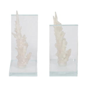 Fermalibri Decorativi in Vetro Corallo, Ispirazione Costiera, Arredo Moderno per Scrivania - Product Image 5