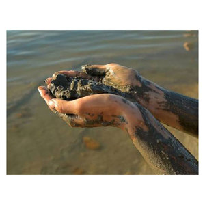 Prix Compétitifs Qualité Exceptionnelle Matière Première Naturelle Tamisée Cosmétique Boue de la Mer Morte de Jordanie OEM Produits Chimiques Quotidiens - Product Image 1