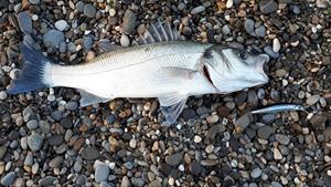 Hunthouse OEM 70mm/7g 80mm/8.5g esca <span class=keywords><strong>trota</strong></span> Laser <span class=keywords><strong>pesca</strong></span> spigola ago di pesce esca di plastica Mini pesciolino <span class=keywords><strong>pesca</strong></span> esca - Product Image 5