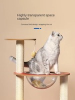 Nid et support d'escalade pour chat tout-en-un à prix spéciaux sûrs et inoffensifs en sisal emballés dans un carton
