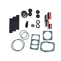 Kit Perbaikan DLT V0040 OEM Rotary Vane Vacuum Pump, Suku Cadang Mesin, Peralatan Industri Tekanan Rendah, Garansi 1 Tahun
