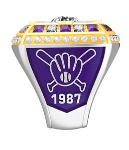 Bague de championnat personnalisée en alliage pour le netball, le rugby, le hockey, le basketball, le football, le soccer, les récompenses sportives, les ligues, les souvenirs d'équipe, les trophées - Product Image 5