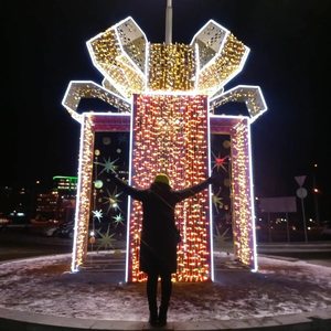 Caja de Regalo Festiva 3D con Luces LED Decorativas para Jardín Invernal, Eventos Navideños y Celebraciones Festivas al Aire Libre - Product Image 1