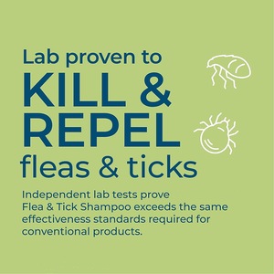 Champú <span class=keywords><strong>para</strong></span> Perros con Etiqueta Personalizada, Champú Profesional Medicado con Plantas Naturales <span class=keywords><strong>para</strong></span> el Tratamiento de la Piel con Picazón, Champús Calmantes <span class=keywords><strong>para</strong></span> Mascotas Mayores de 4 Meses - Product Image 3