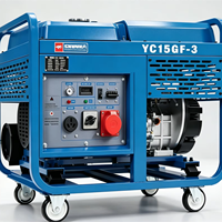 Générateur diesel 15 kW monophasé triphasé 16 kW puissance maximale refroidi par air bicylindre démarrage électrique châssis ouvert 230 V 1800 tr/min 50/60 Hz