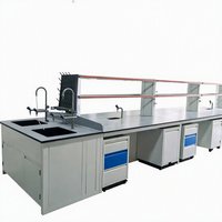 Banc de laboratoire et table de travail robustes en acier moderne avec plateau en résine époxy pour une utilisation dans les écoles, les hôpitaux et les ateliers