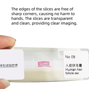 Juego de diapositivas de muestras biológicas de 10 piezas seleccionadas Exportación-Calidad para la ciencia médica - Product Image 5