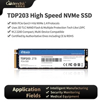 TDP203 2TB PCIe Gen4 NVMe M.2 2280 SSD Internal Baru Kecepatan Tinggi hingga 2500MB/s untuk Laptop/Desktop