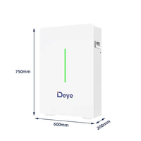 Batterie au lithium Deye 51,2 V 208 Ah 10,64 kWh, batterie Deye RW-G10.6, batterie lithium-ion Lifepo4, pack de batteries solaires murales