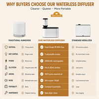 Diffuseur d'huiles essentielles pures sans eau de luxe pour la maison, en gros, sans BPA, en matériau PP, silencieux, sans fil, pour l'aromathérapie en chambre