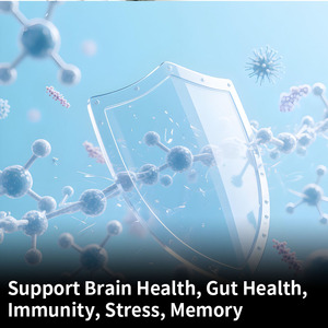 مسحوق فطر الماتشا الأخضر بالجملة، شاي أخضر، أشواغاندا لدعم صحة الدماغ والأمعاء والمناعة وتخفيف التوتر - Product Image 2