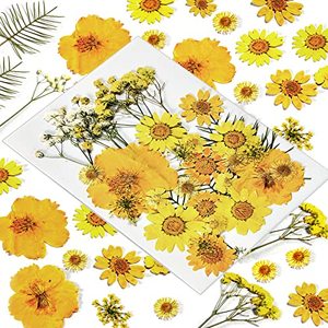 Assortiment <span class=keywords><strong>de</strong></span> feuilles florales séchées naturelles pour kit d'artisanat DIY, pour la résine, la fabrication <span class=keywords><strong>de</strong></span> téléphones, <span class=keywords><strong>de</strong></span> savons, <span class=keywords><strong>de</strong></span> bougies et <span class=keywords><strong>de</strong></span> bijoux - Product Image 5