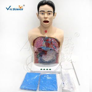 Modèle avancé d'entraînement en soins infirmiers de base, modèle pédagogique médical humain - Product Image 1