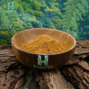 Toptan 2.5% 5% Withanolides organik Withania Somnifera Ashwagandha kök ekstresi tozu - Product Image 2