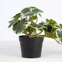 Fausses plantes en pot de 21cm plantes de verdure artificielles fausses plantes panachées pour la décoration de table à la maison