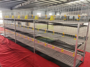 Gabbie per polli da carne a tre livelli e sei porte, resistenti e zincate, di Great Farm, progettate per contenere 54-60 polli, completamente attrezzate. - Product Image 3