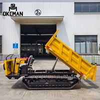 OKEMAN Mini 3-Tonnen-Diesel-Raupendumper mit Motor, Getriebe und Pumpe – Hocheffizient für die Logistik in der Landwirtschaft