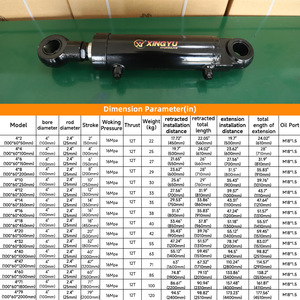 Cilindro Hidráulico de <span class=keywords><strong>12</strong></span> Toneladas con Doble Ojo para Grúa Elevadora, Estructura Binaural de 16 Presiones, Fabricante, Suministro Transfronterizo Inmediato - Product Image 4