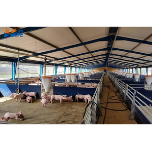 Estructura de Acero Prefabricada de Construcción <span class=keywords><strong>R</strong></span>ápida, Cobertizo Prefabricado de Bajo Costo para Vacas / Caballos / Cabras / Ovejas - Product Image 6