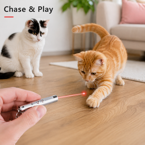 Factory Direct Sale Eco-Friendly Metal Sport Cat Interactive LED Light Torch Laser Pointer - Product Image 2