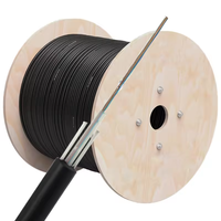 Câble à fibre optique aérien/de conduit blindé extérieur, résistant aux rongeurs, étanche, en PBT, GYXTW 4/8/12/24 fibres, monomode G.652D, direct usine