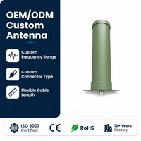 Antenne directionnelle en U-PVC pour canons anti-drone 1150-1300 MHz, gain ≥9dBi, pour systèmes de brouillage RF