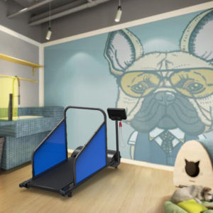 Mavi Pet sessiz koşu bandı kedi ve köpek kilo kaybı egzersiz koşu bandı köpek akıllı elektronik koşu bandı - Product Image 6