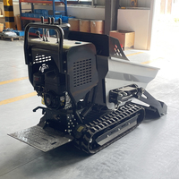 Mini-Raupenlader-Dumper Briggs&Stratton Benzinmotor Hohes Lastmoment Hydrauliksystem Kostenloser Versand 1