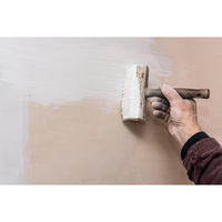 Jady – peinture inodore et résistante aux alcalis, meilleure peinture pour le mur et le plafond de ciment de la maison