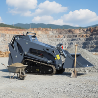 Mini-chargeuse compacte certifiée EPA avec moteur Kubota, garantie 1 an, transmission sur chenilles pour la construction et l'aménagement paysager