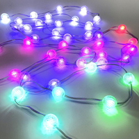 Ampoule LED Pixel 25mm 5m Chaîne Adressable WS2811 RGB DC5V IP65 Décorations de Noël avec WiFi